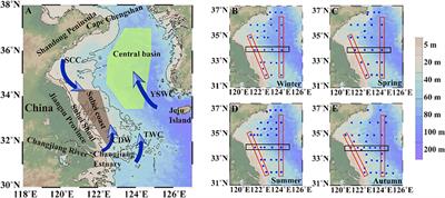 Biological–physical oceanographic coupling influencing particulate organic matter in the South Yellow Sea